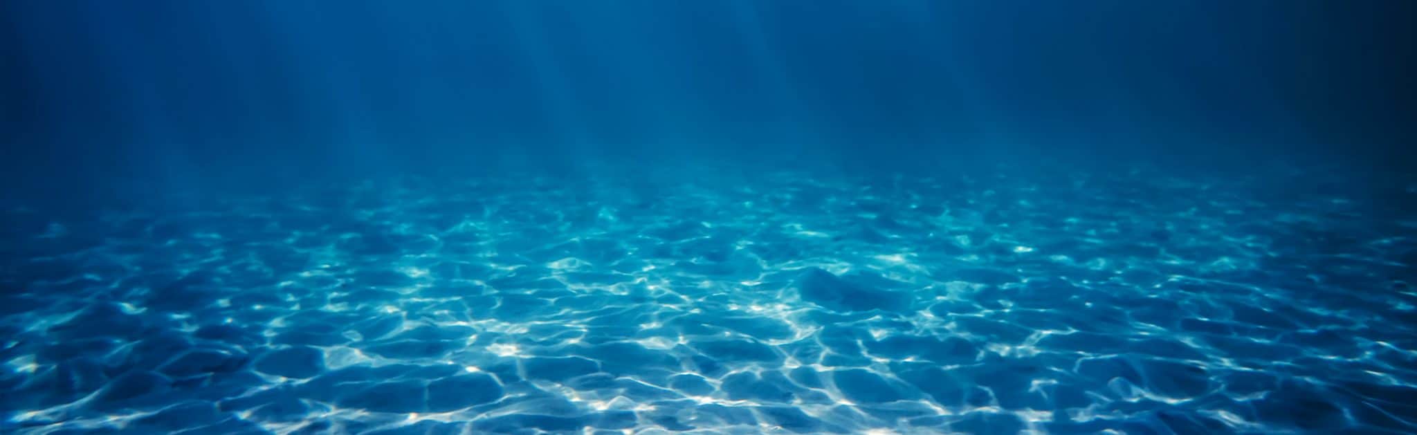 Web Developers Atlanta Web Designers Atlanta