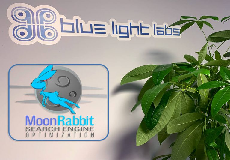 Read more about the article A Quick Introduction To Our White Hat (Moon Rabbit SEO) Service